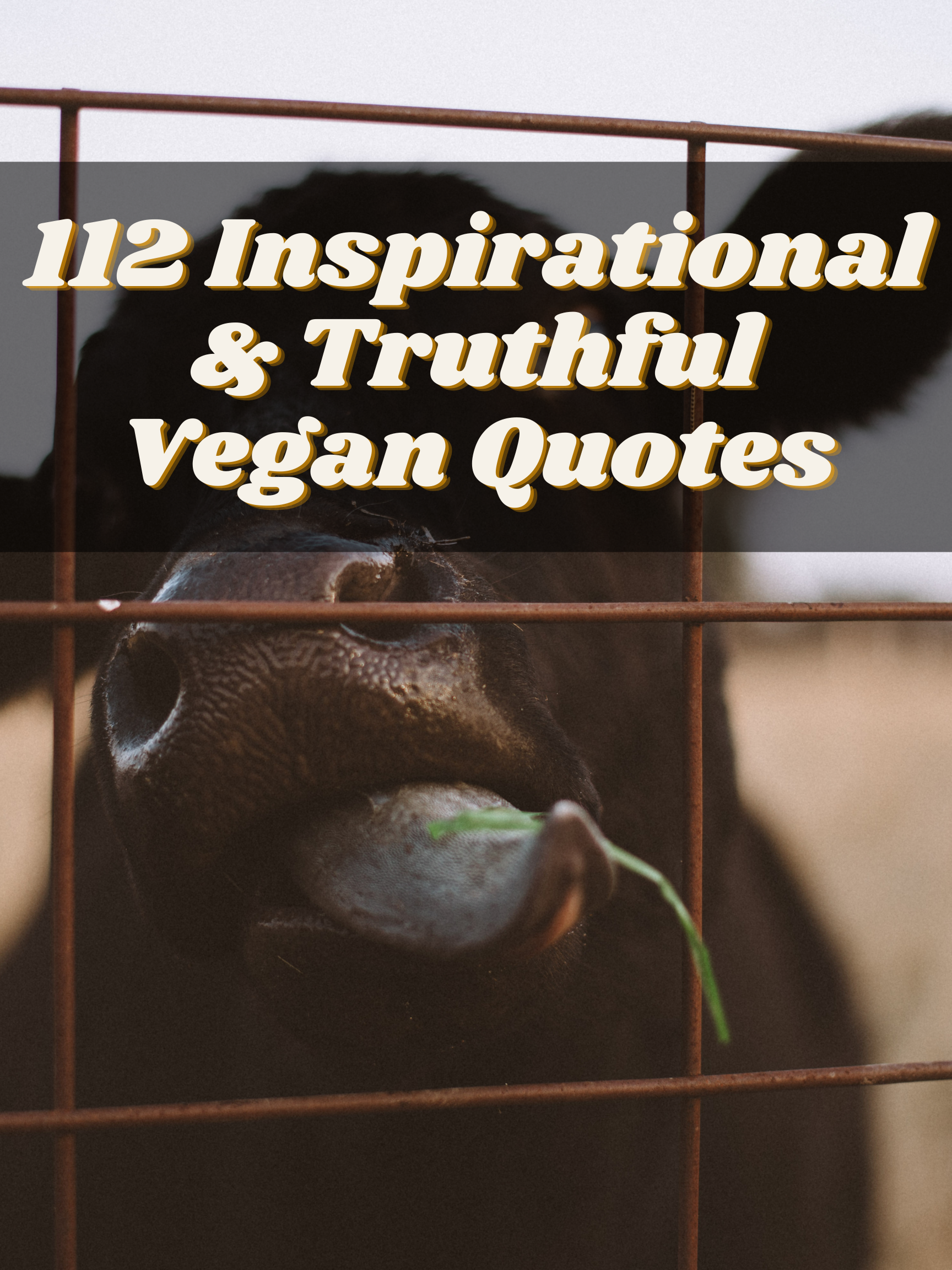 Vegan Vegetarian Quotes