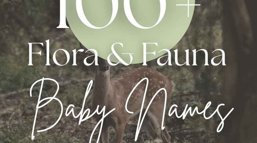 100+ Flora & Fauna Baby Names (Plant & Animal-Inspired Picks)