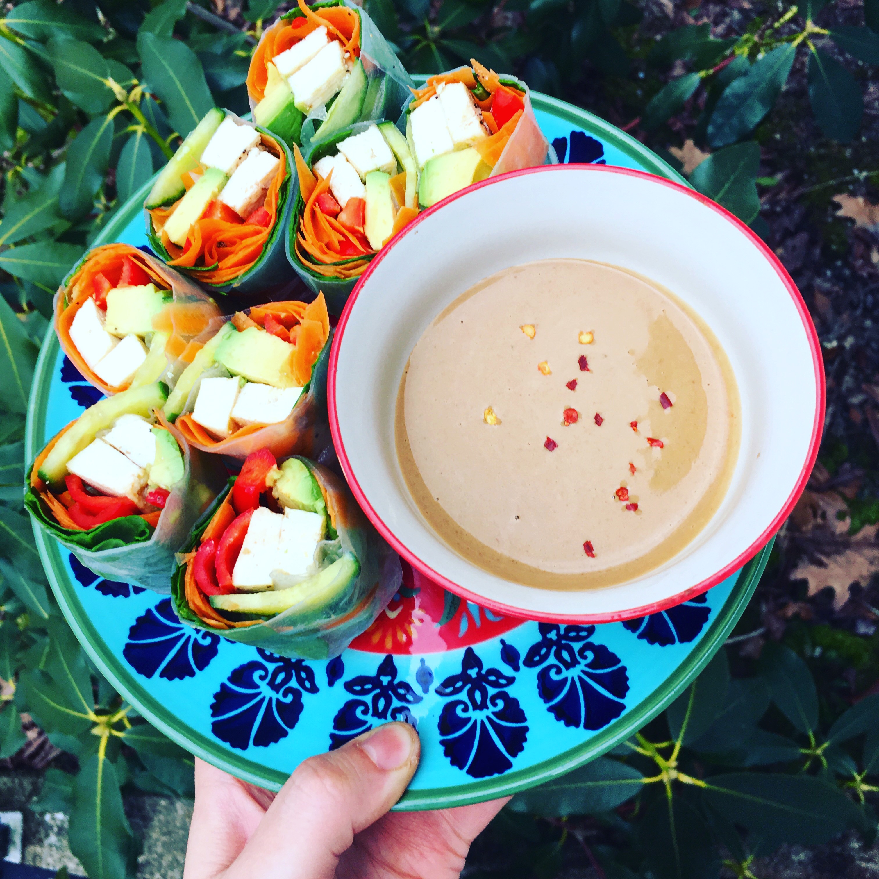 Tofu Spring Rolls