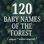 120 forest baby names