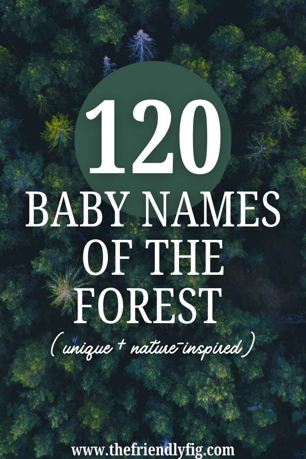 120 forest baby names