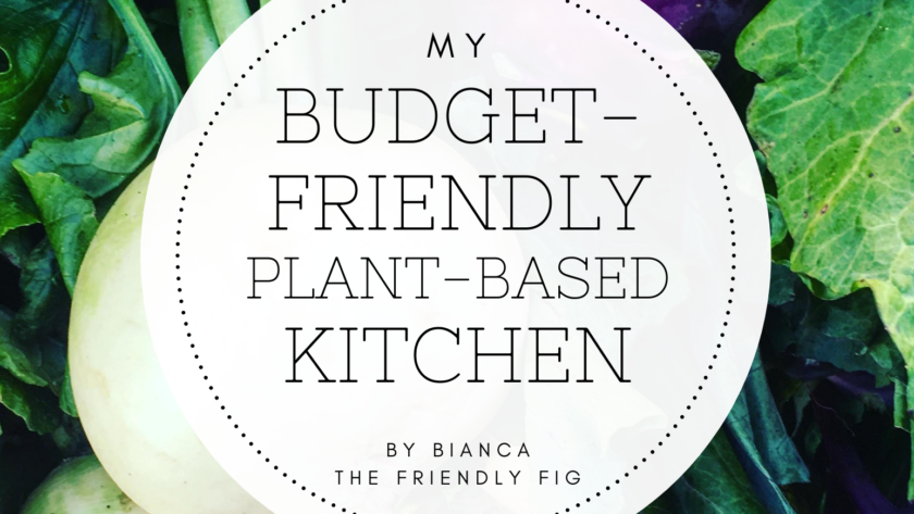 My Budget Friendly Kitchen eBook