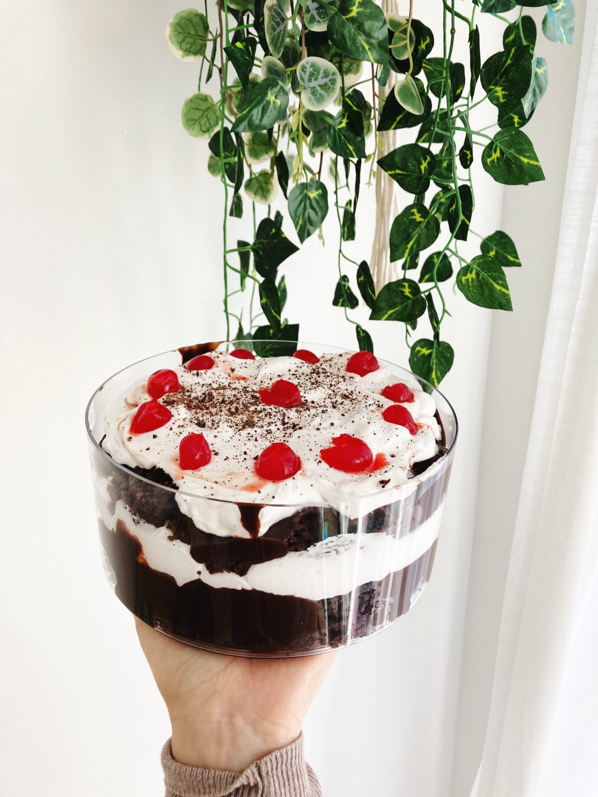 Vegan Christmas Trifle