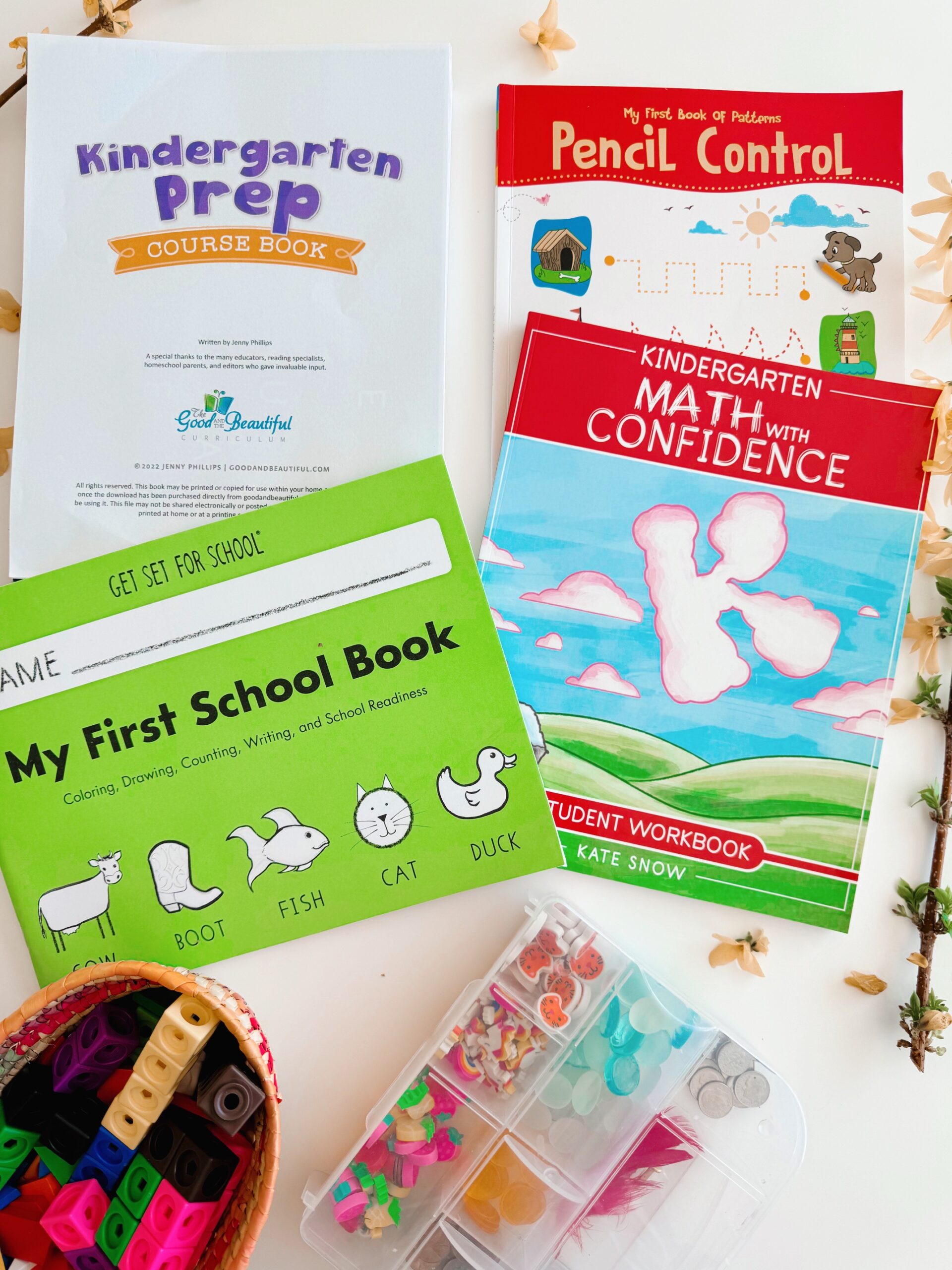 Homeschool Curriculum Choices for 1st and Pre-K