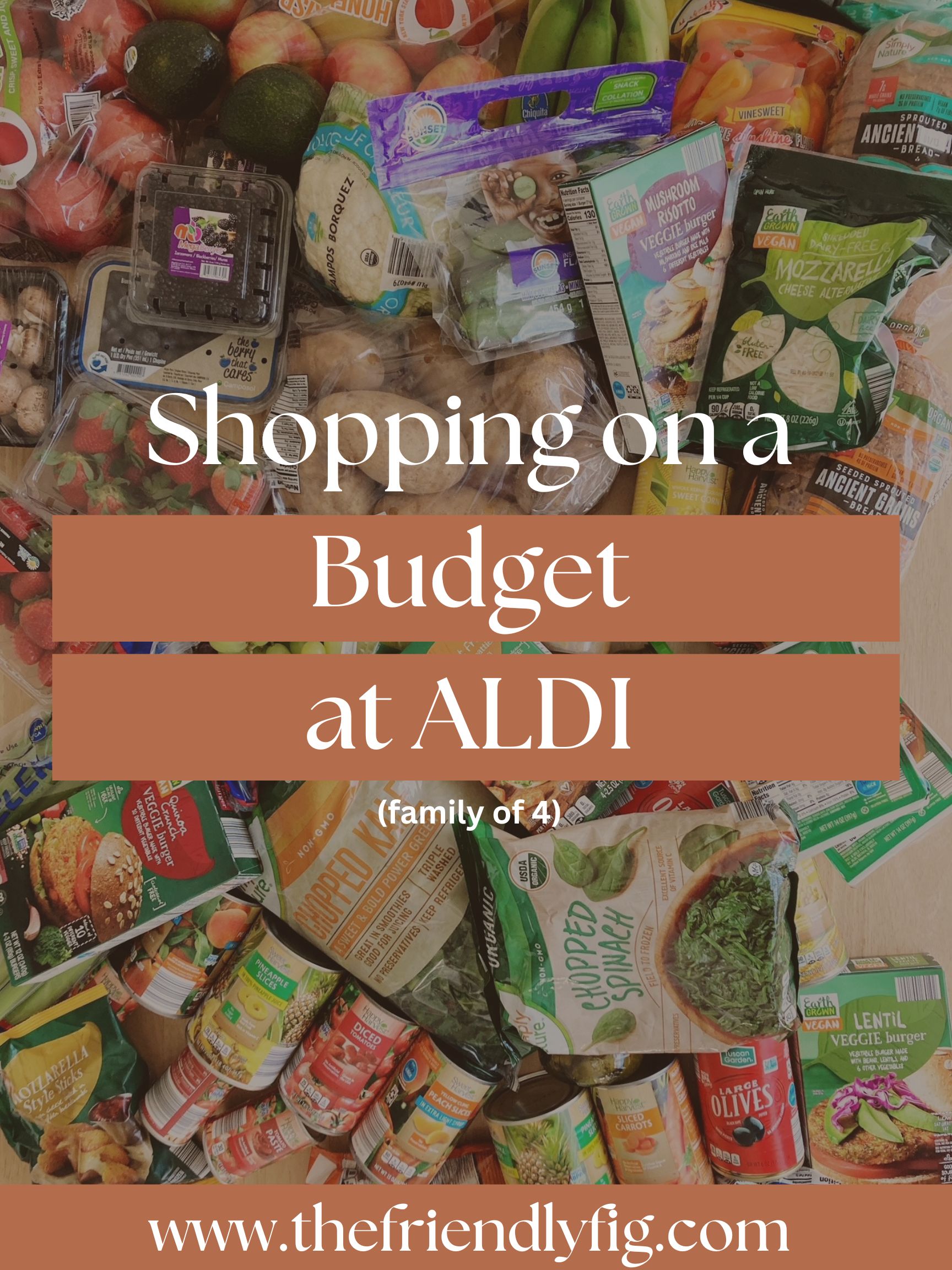 Shopping on a Budget at ALDI