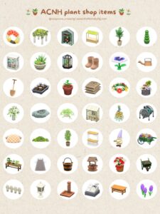 ANCH Plant Shop Items and Inspiration
