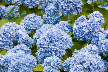 24 Ways to Hygge in Summer