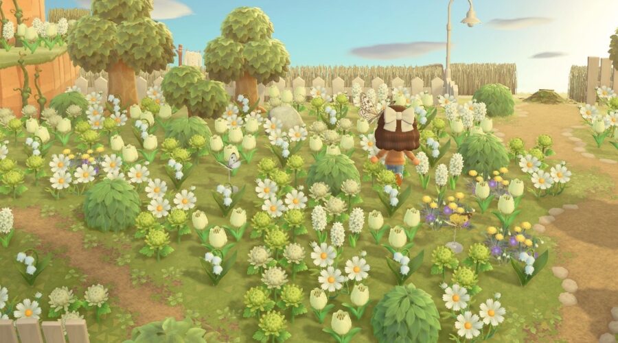 100 Cottagecore Island Names for Animal Crossing