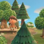100 Best Forestcore Items in Animal Crossing