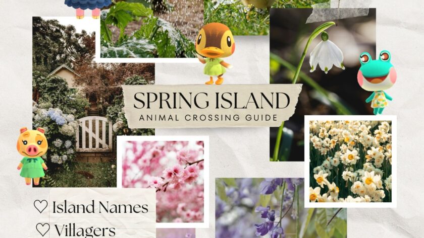 Springcore Island Ideas for Animal Crossing (Names, Villagers, Items)