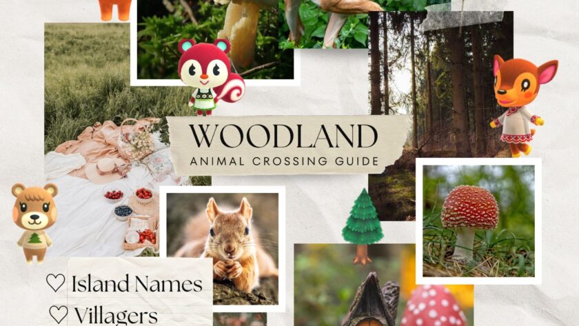 Cozy Woodland Animal Crossing Island Ideas (Names, Villagers, Items)