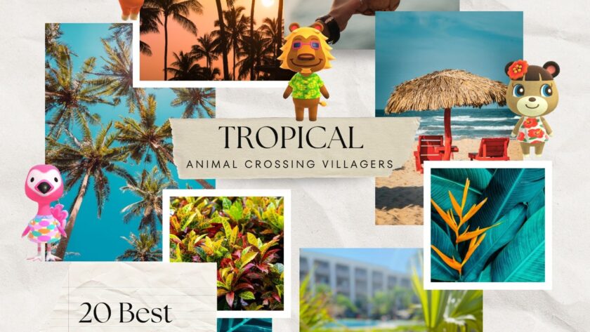 20 Best Animal Crossing Villagers for a Tropical Island