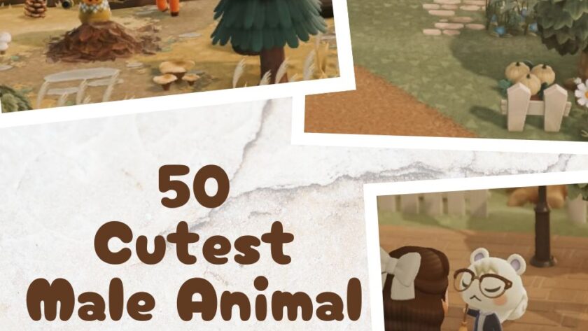 50 Cutest Male Animal Crossing Villagers (Soft Boys & Fan-Favorites)
