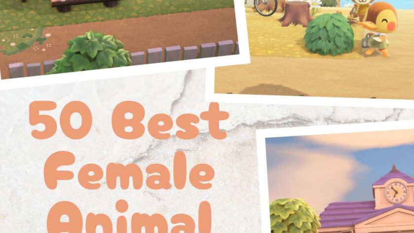50 Best Female Animal Crossing Villagers (Cute, Popular & Aesthetic)