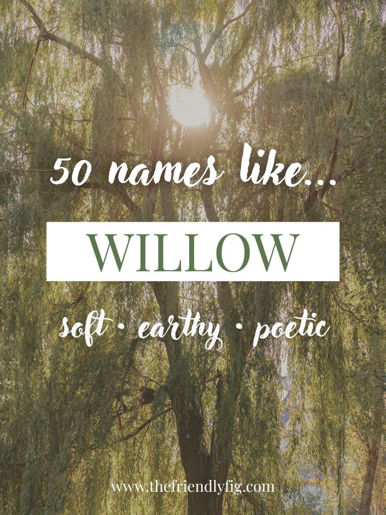 Names Like Willow (Earthy, Soft & Poetic Picks)
