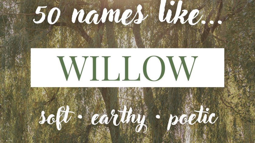 Names Like Willow (Earthy, Soft & Poetic Picks)