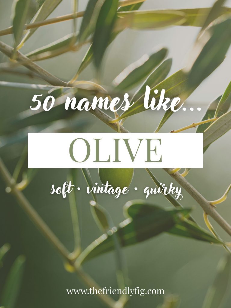 Names Like Olive (Soft, Vintage & Slightly Quirky)