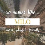 Names Like Milo (Warm, Playful & Friendly)