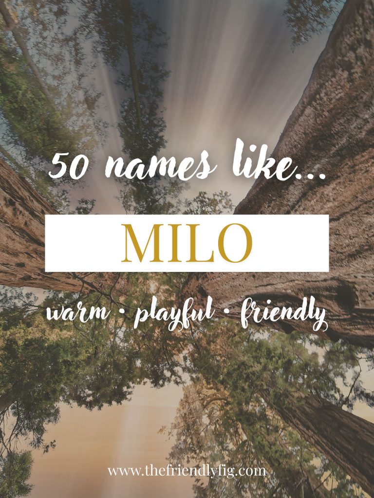 Names Like Milo (Warm, Playful & Friendly)