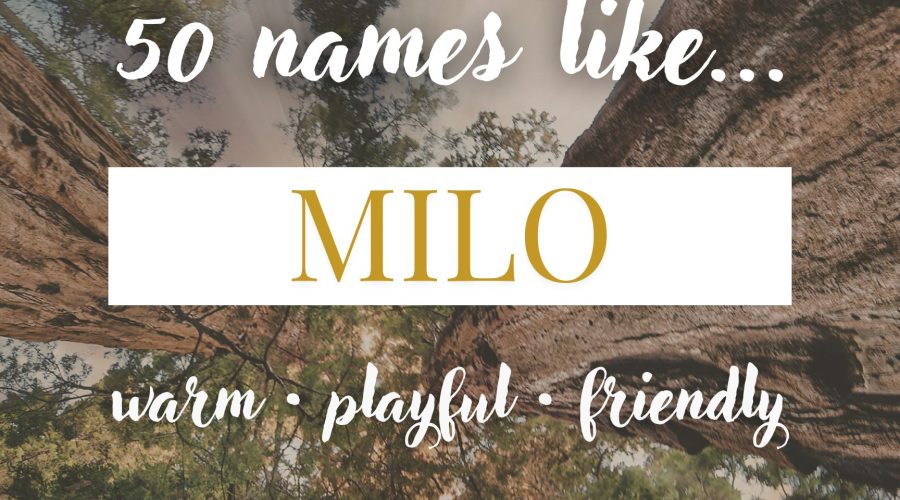 Names Like Milo (Warm, Playful & Friendly)