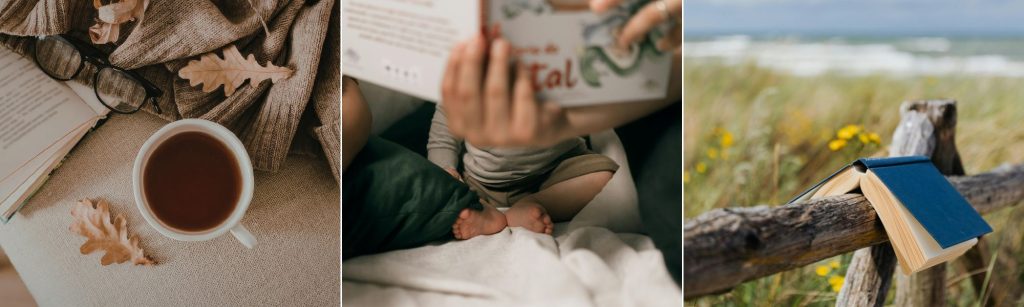 Reading: Cozy & Thoughtful Books Recommendations