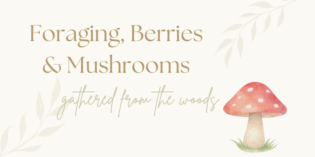 foraging picture books