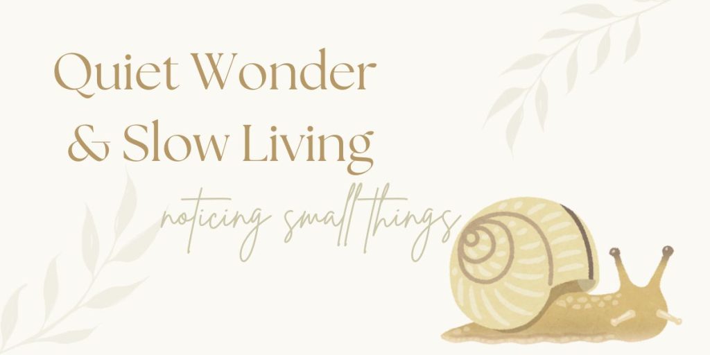 slow living picture books