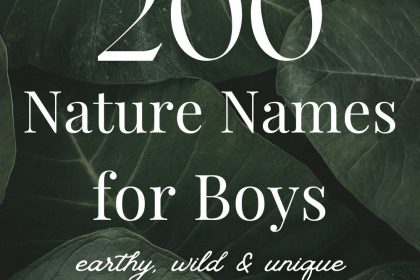 200 Nature Boy Names (Earthy, Wild & Unique)