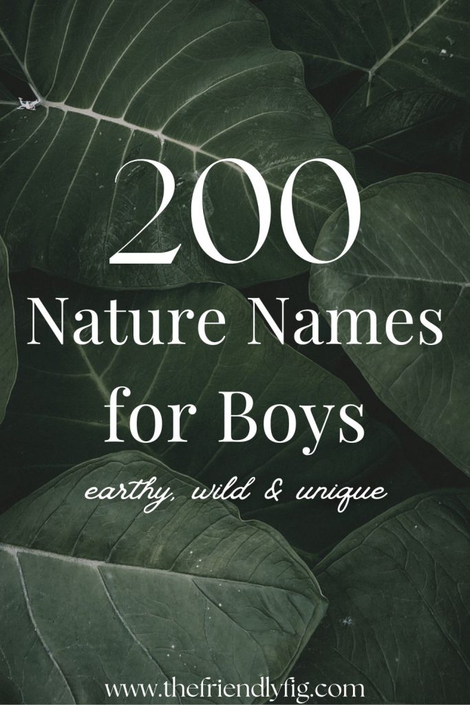 200 Nature Boy Names (Earthy, Wild & Unique)