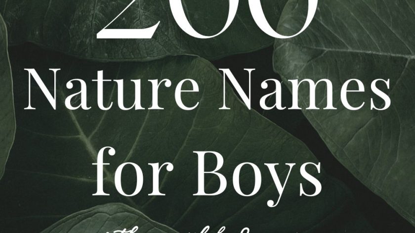 200 Nature Boy Names (Earthy, Wild & Unique)