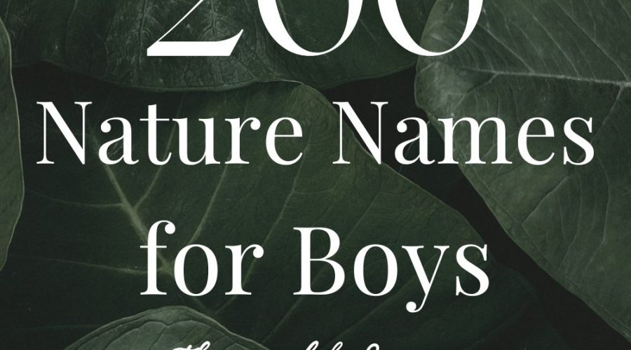 200 Nature Boy Names (Earthy, Wild & Unique)