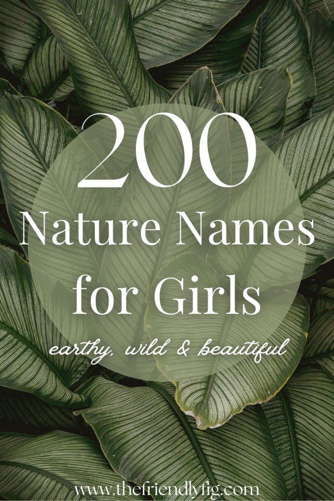 200+ Nature Girl Names (Earthy, Wild & Beautiful)