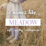 Names Like Meadow (Soft, Earthy & Cottagecore)