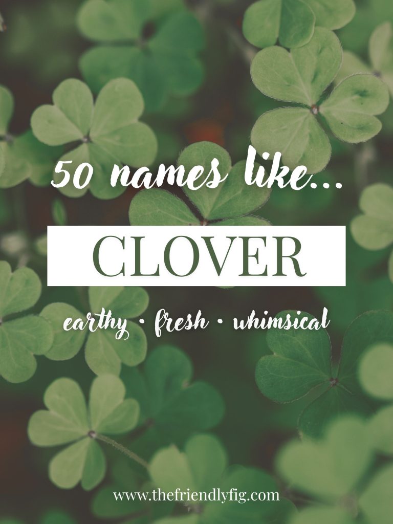 Names Like Clover (Earthy, Fresh & Whimsical)
