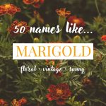 Names Like Marigold (Floral, Vintage & Sunny)