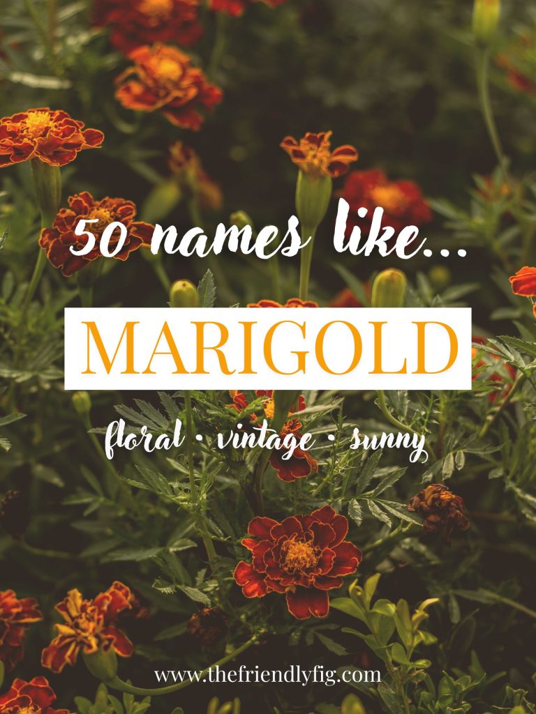 Names Like Marigold (Floral, Vintage & Sunny)