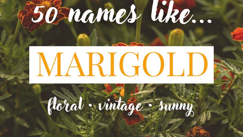 Names Like Marigold (Floral, Vintage & Sunny)
