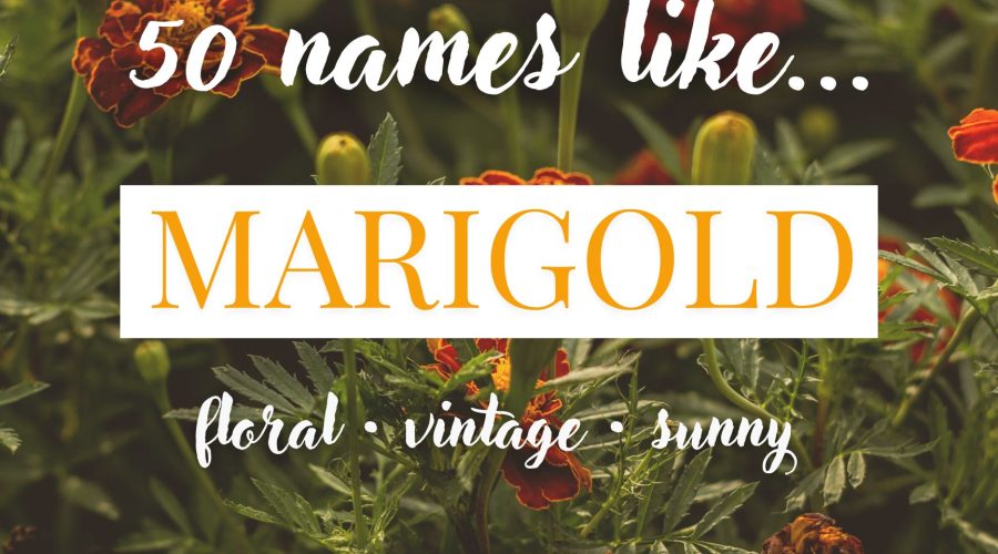Names Like Marigold (Floral, Vintage & Sunny)