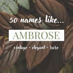 Names Like Ambrose (Vintage, Elegant & Rare)