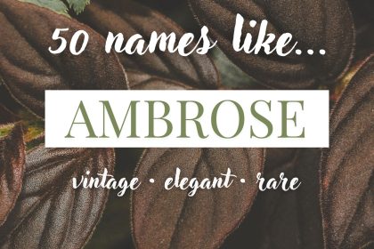 Names Like Ambrose (Vintage, Elegant & Rare)