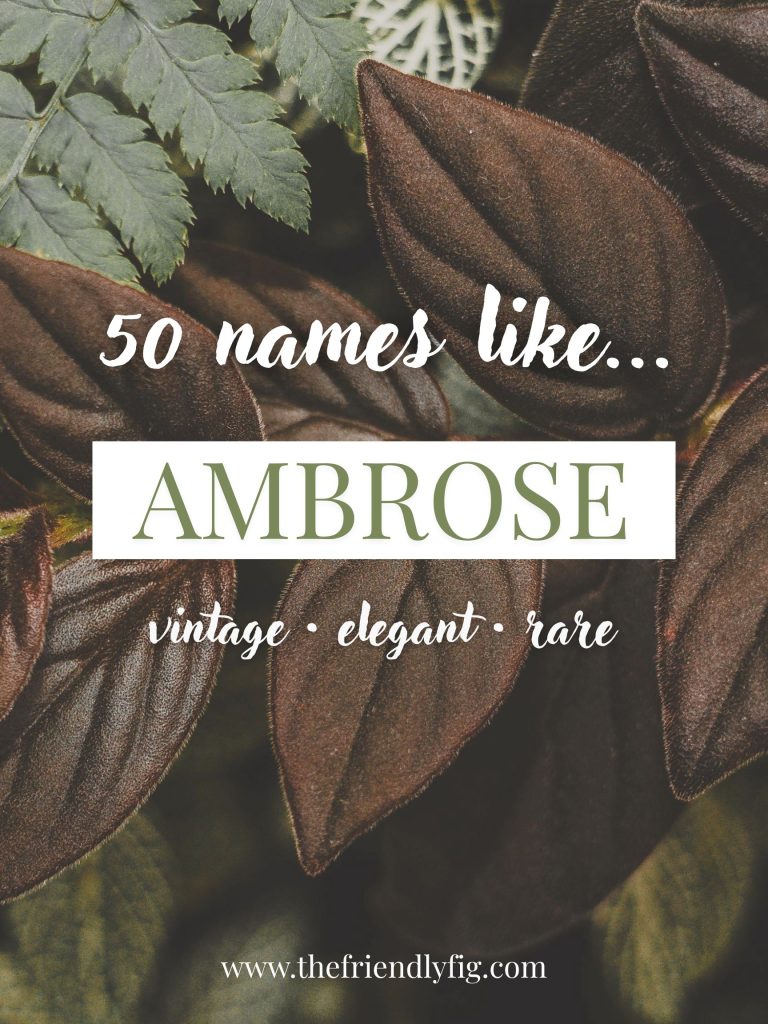 Names Like Ambrose (Vintage, Elegant & Rare)