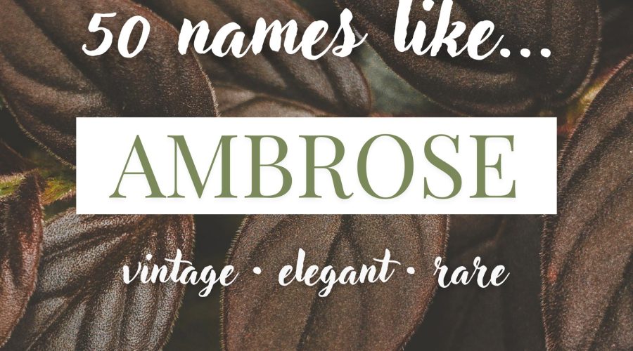 Names Like Ambrose (Vintage, Elegant & Rare)