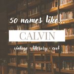 Names Like Calvin (Vintage, Literary & Cool)