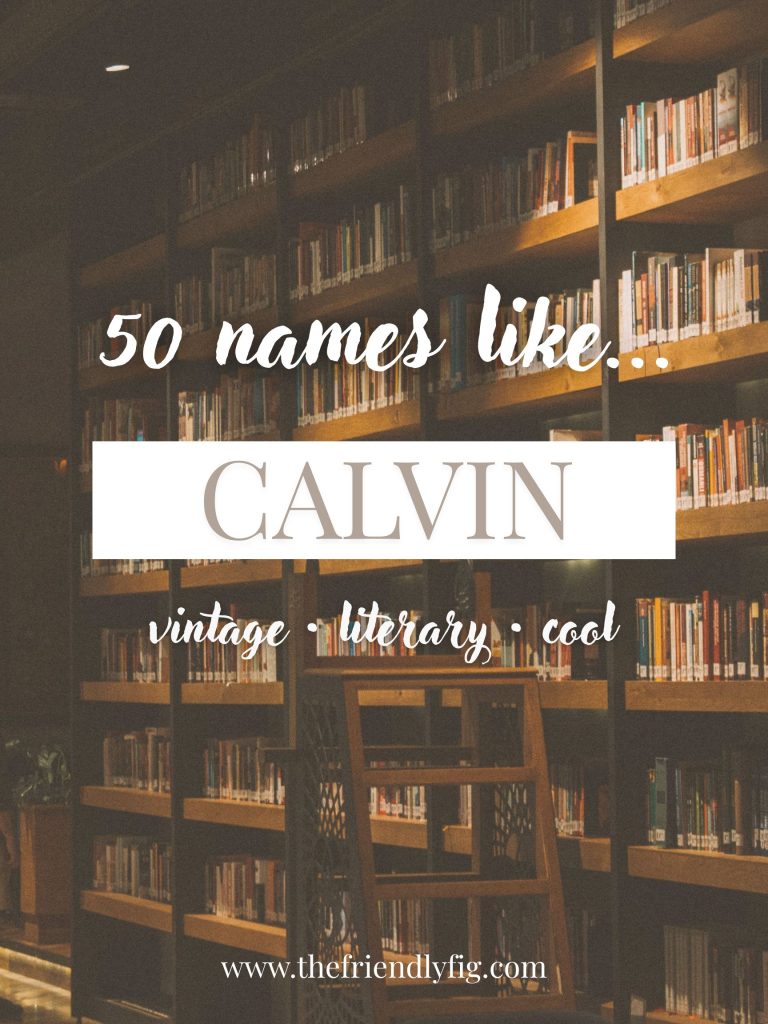 Names Like Calvin (Vintage, Literary & Cool)