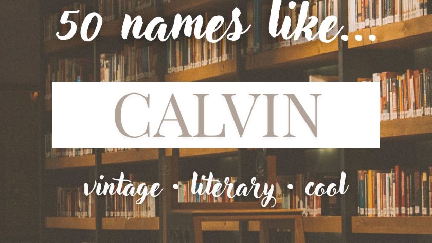 Names Like Calvin (Vintage, Literary & Cool)