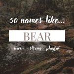Names Like Bear (Warm, Strong & Playful)
