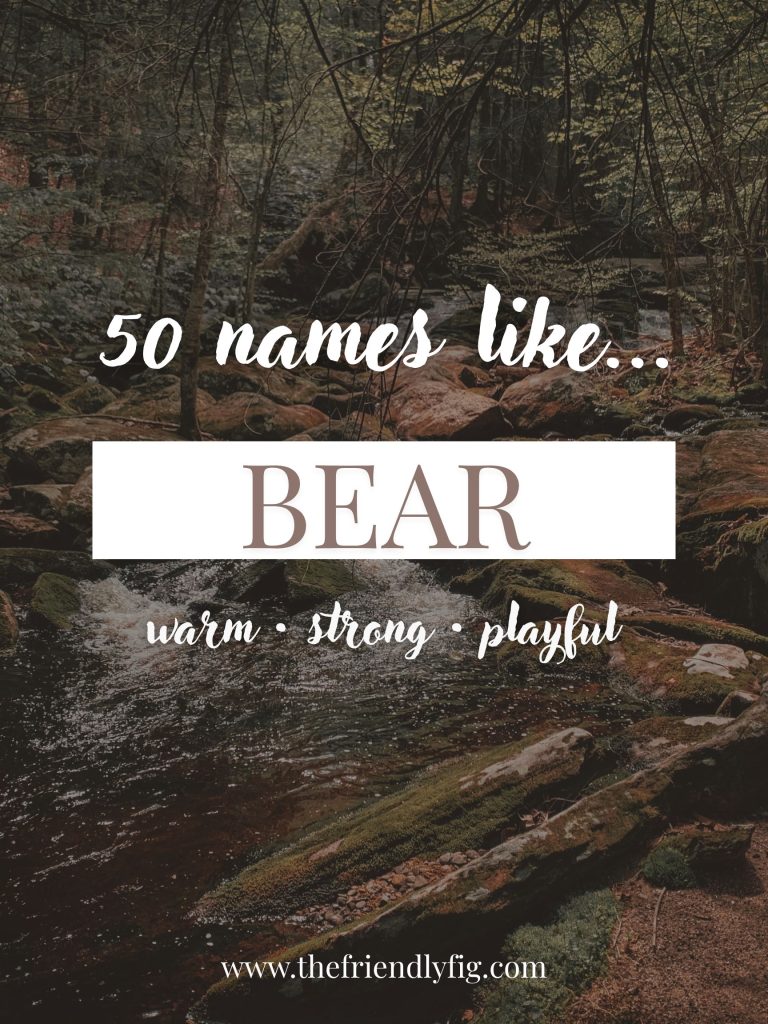 Names Like Bear (Warm, Strong & Playful)