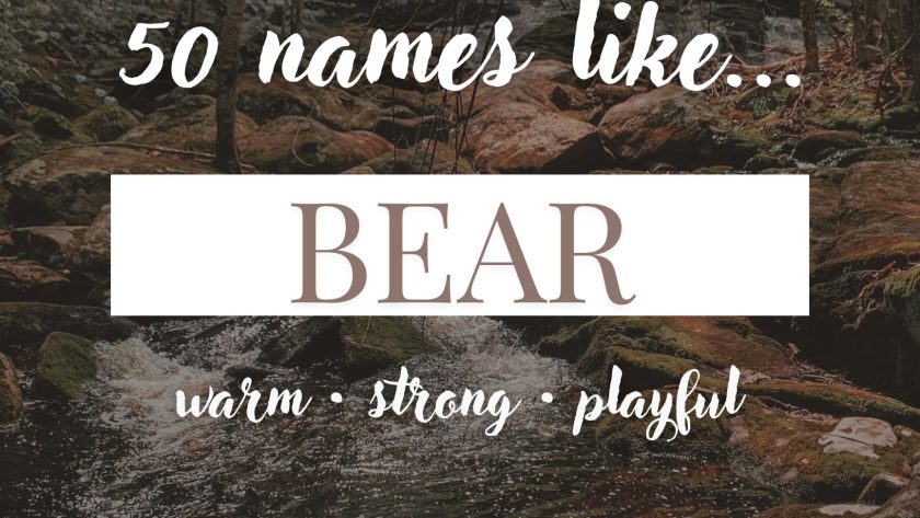 Names Like Bear (Warm, Strong & Playful)