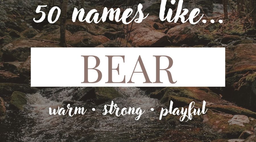 Names Like Bear (Warm, Strong & Playful)