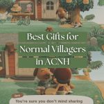 Best Gifts for Normal Villagers in ACNH